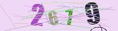 CAPTCHA validation image
