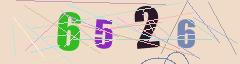 CAPTCHA validation image