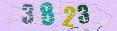 CAPTCHA validation image