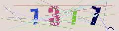CAPTCHA validation image