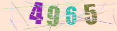 CAPTCHA validation image