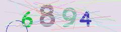 CAPTCHA validation image