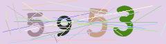 CAPTCHA validation image