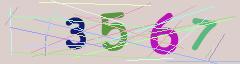 CAPTCHA validation image