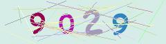 CAPTCHA validation image