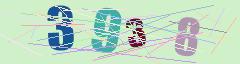 CAPTCHA validation image