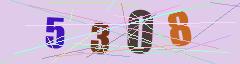 CAPTCHA validation image